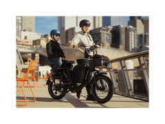 RadRunner™ Plus Electric Cargo Utility Bike