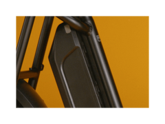 RadRunner™ Plus Electric Cargo Utility Bike