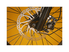 RadRunner™ Plus Electric Cargo Utility Bike