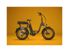 RadRunner™ Plus Electric Cargo Utility Bike
