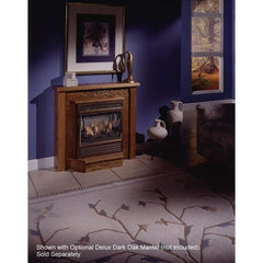 Buck Stove Model 1110 Vent Free Gas Stove